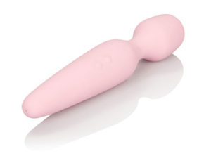 Beginners wand vibrator krachtig en stil