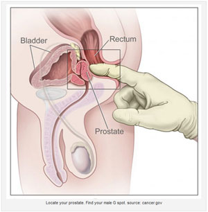 Waarom de prostaat masseren?