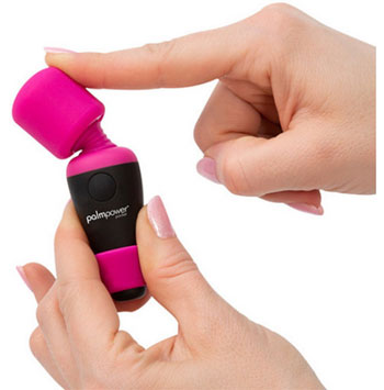 PalmPower Pocket Mini Wand Vibrator